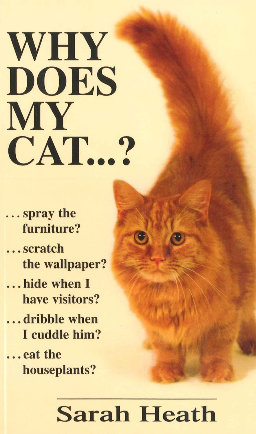 Why Does My Cat . . . ? (Why Does My . . . ? series),Used