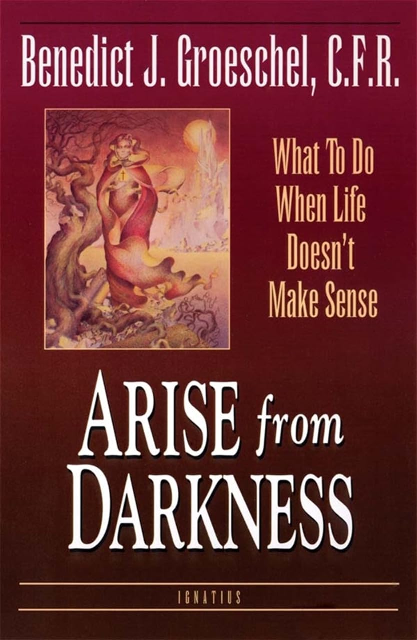 Arise from Darkness: What to Do When Life Doesn't Make Sense,Used