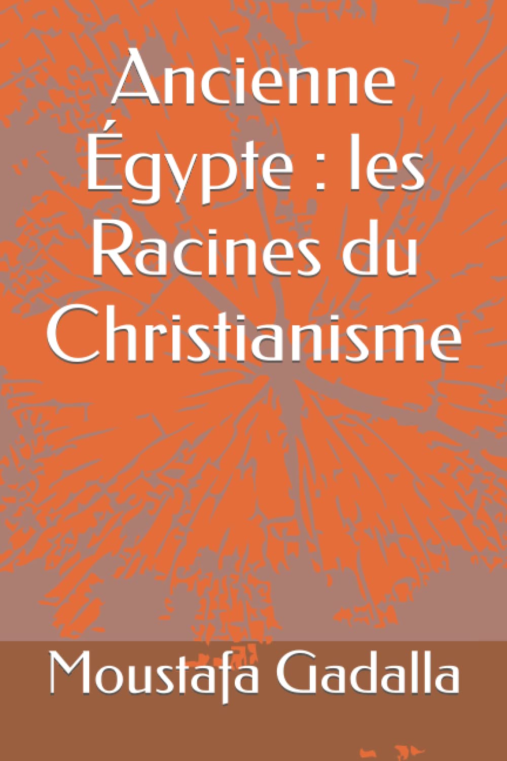 Ancienne gypte : les Racines du Christianisme (French Edition),Used