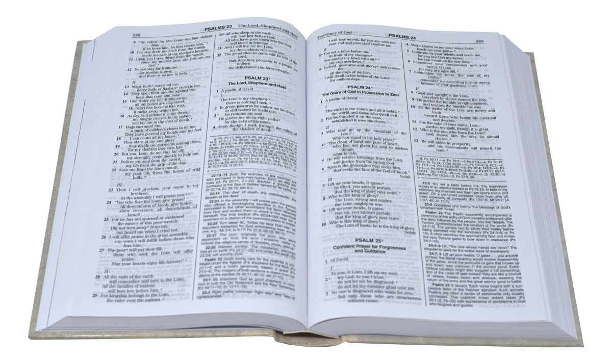 The New American Bible: Noah's Ark Bible,Used