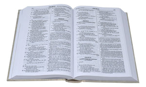 The New American Bible: Noah's Ark Bible,Used
