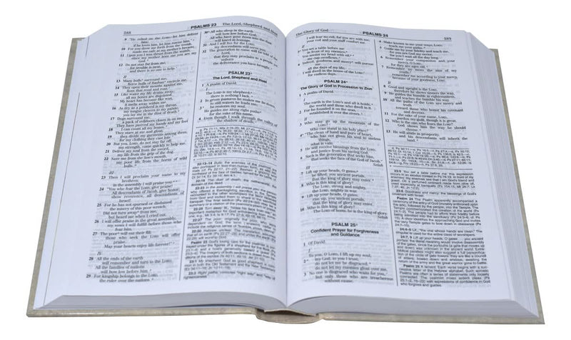 The New American Bible: Noah's Ark Bible,Used