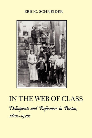 In The Web Of Class: Delinquents And Reformers In Boston, 1810S1930S (The American Social Experience, 10),Used