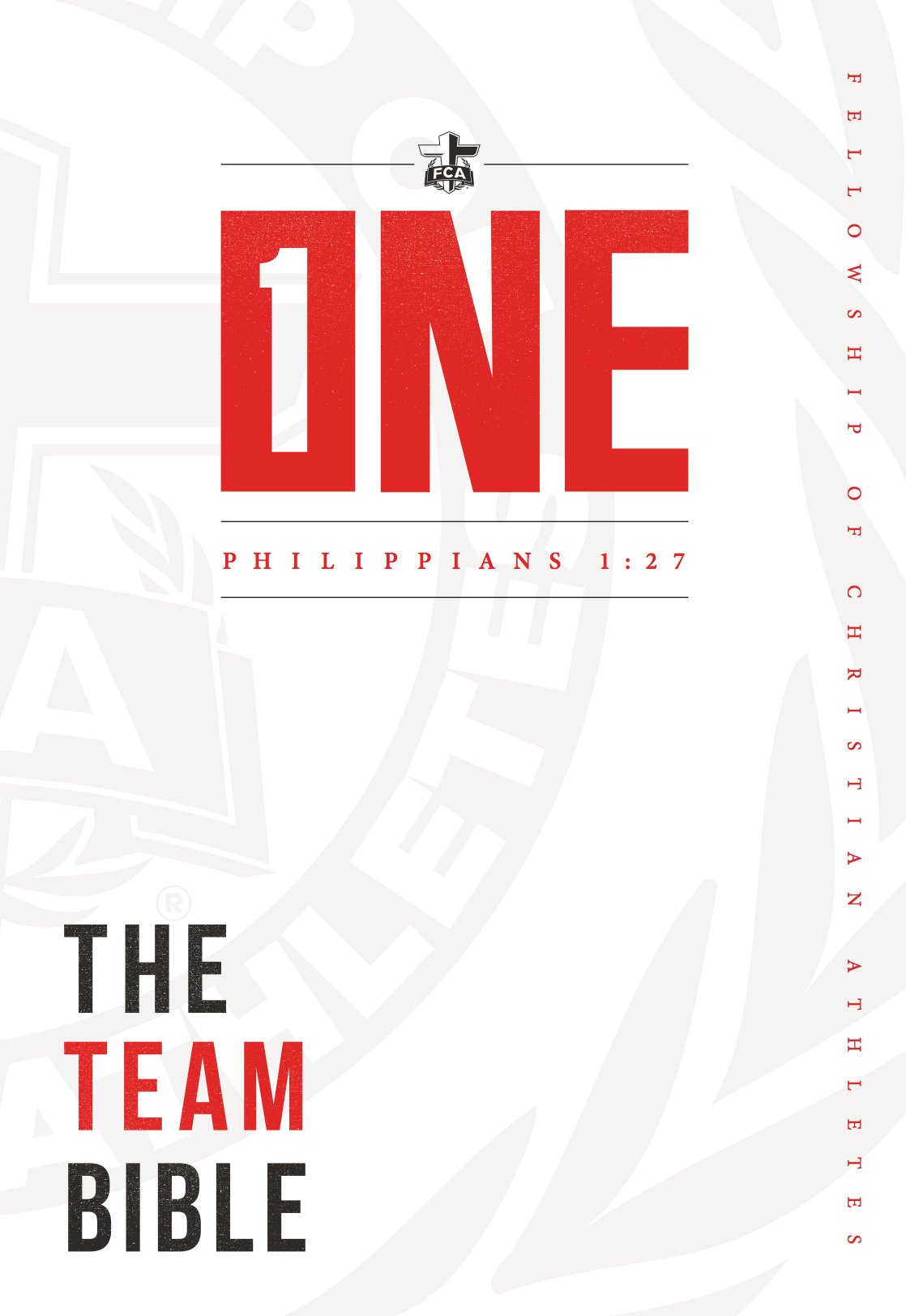 Team Bible: One Edition (FCA),Used