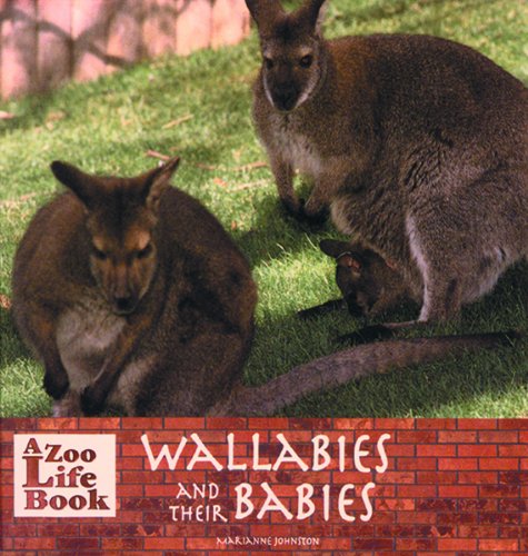 Wallabies and Their Babies (Zoo Life Book),Used