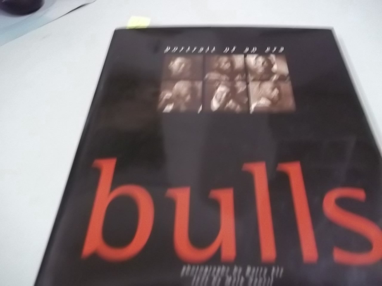 Chicago Bulls: Portrait of an Era,Used
