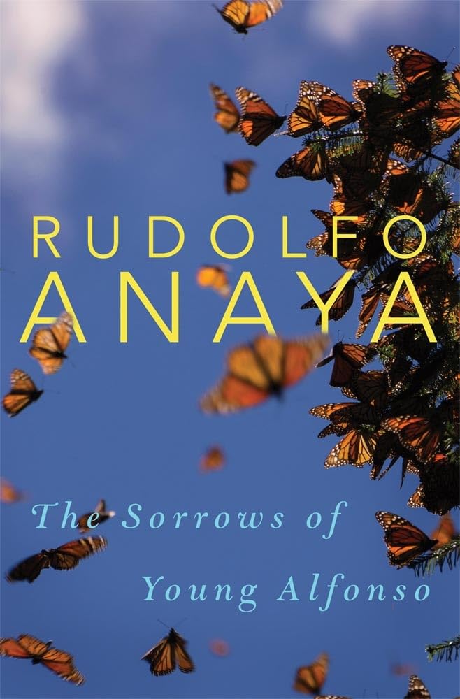 The Sorrows Of Young Alfonso (Volume 15) (Chicana And Chicano Visions Of The Amricas Series),Used