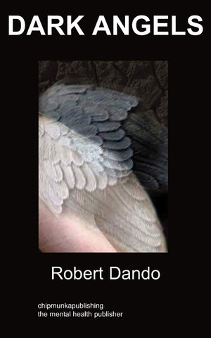 Dark Angels: A Story About A Mental Hospital,New