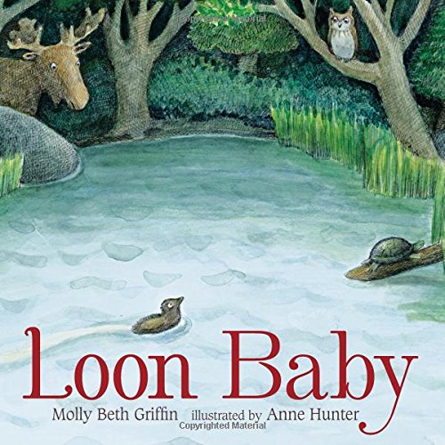 Loon Baby,Used