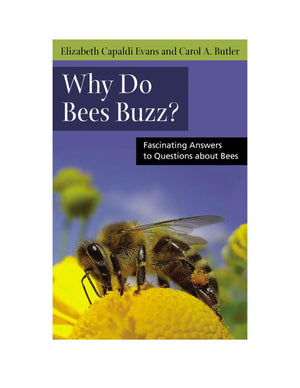 Why Do Bees Buzz?: Fascinating Answers To Questions About Bees (Animals Q & A),New