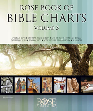 Rose Book of Bible Charts, Volume 3,Used