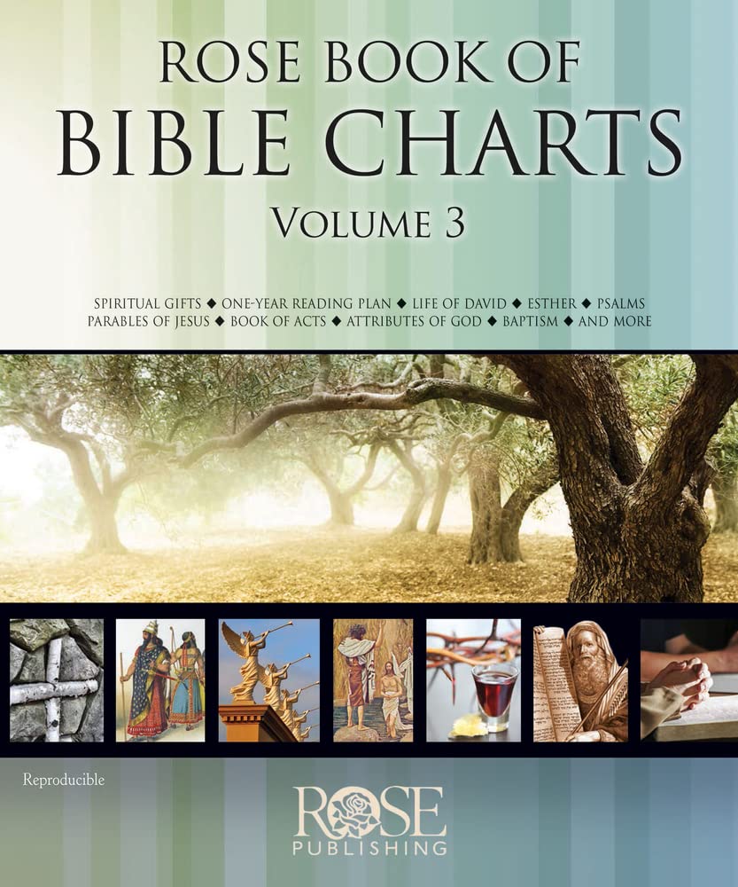 Rose Book of Bible Charts, Volume 3,Used