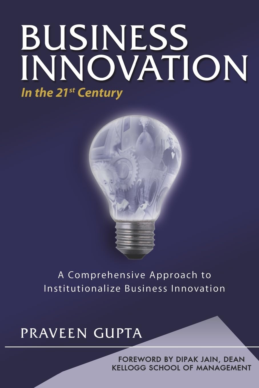 Business Innovation In The 21St Century-new