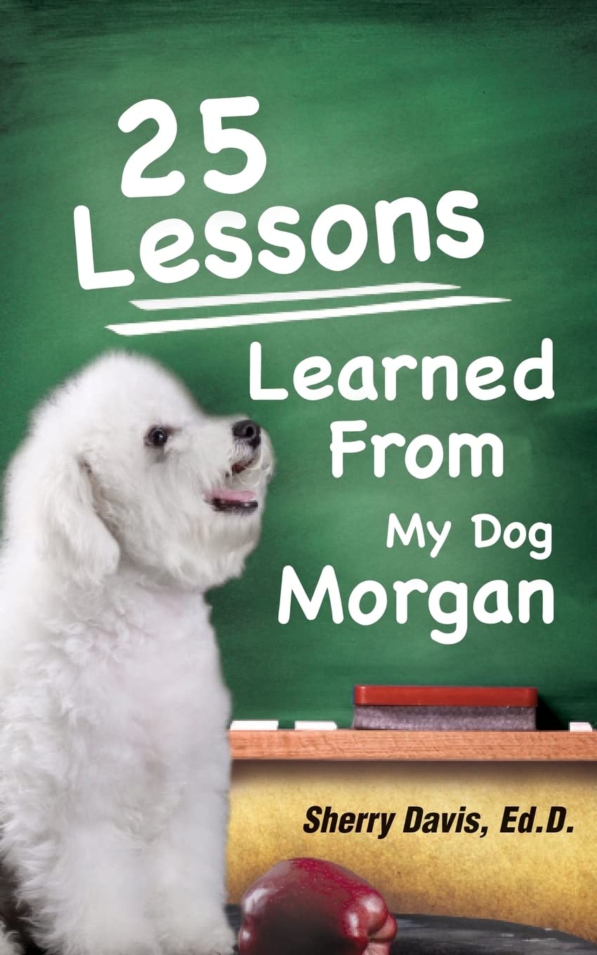 25 Lessons Learned From My Dog Morgan,Used