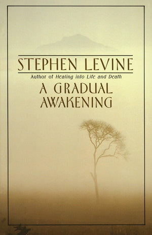 A Gradual Awakening,Used