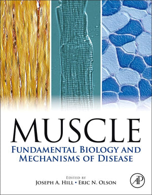 Muscle 2Volume Set: Fundamental Biology and Mechanisms of Disease,New