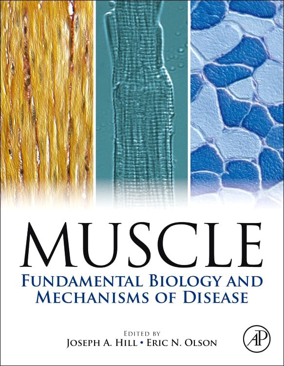 Muscle 2Volume Set: Fundamental Biology and Mechanisms of Disease,New
