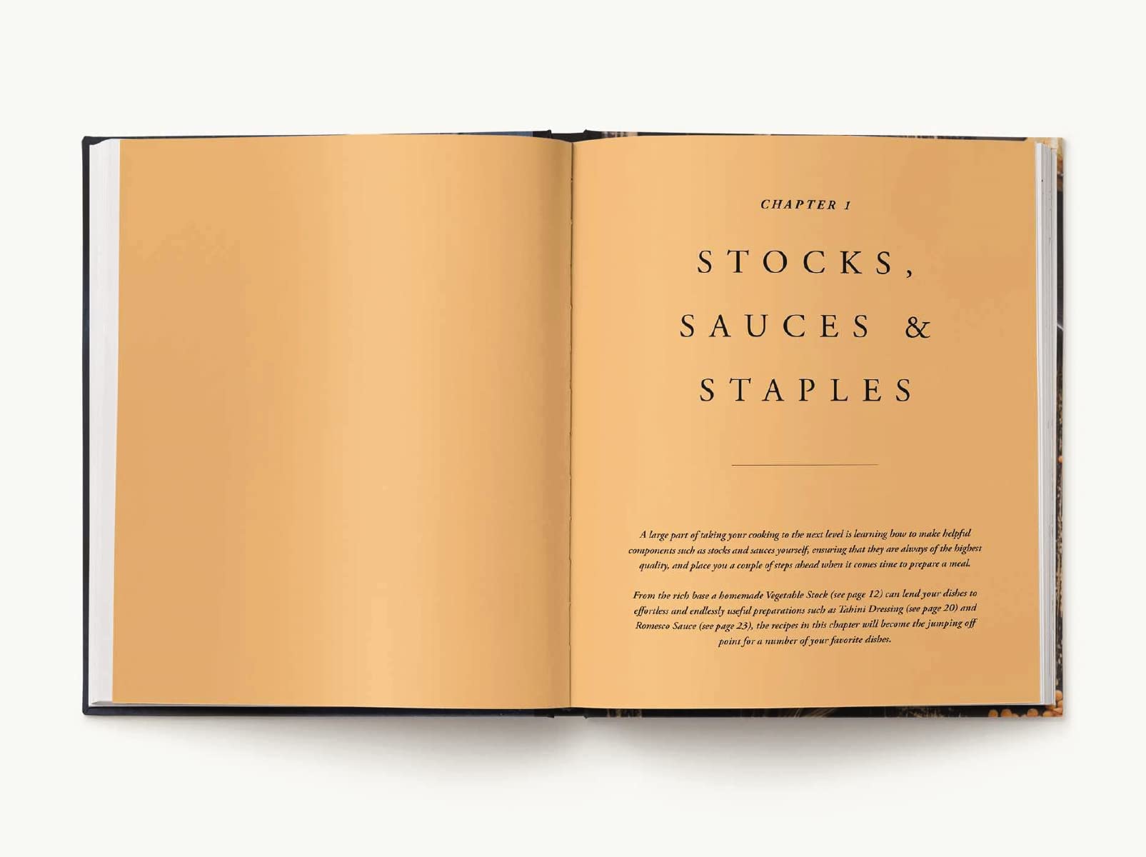 The Decadent Vegetable Cookbook: Over 100 Satisfying Meatless Recipes,Used