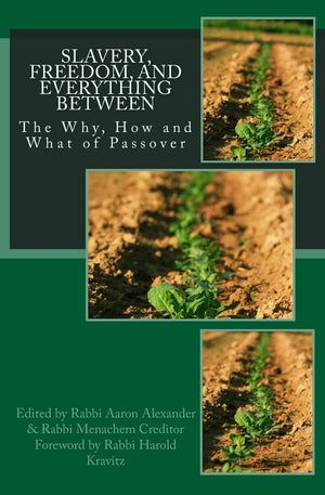 Slavery, Freedom, And Everything Between: The Why, How And What Of Passover,Used