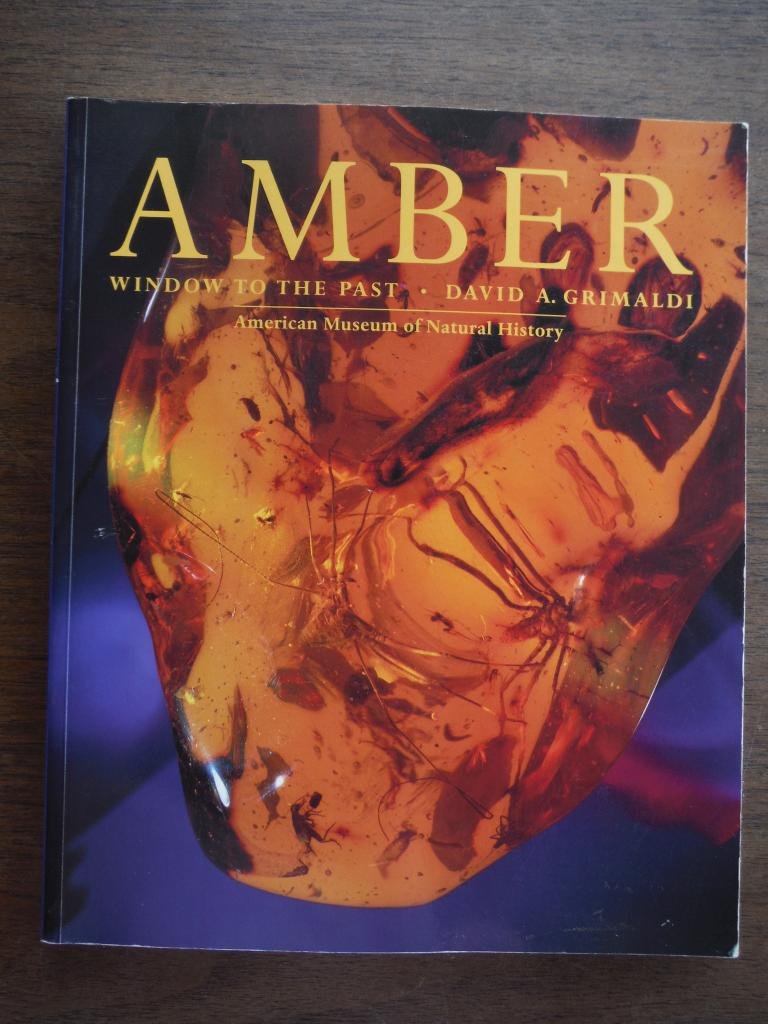 Amber: Window to the Past,Used