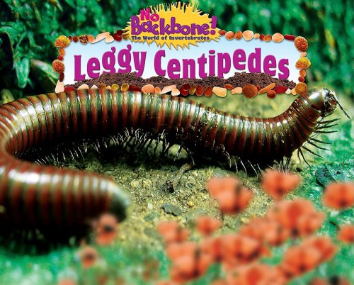 Leggy Centipedes (No Backbone! Creepy Crawlers),Used