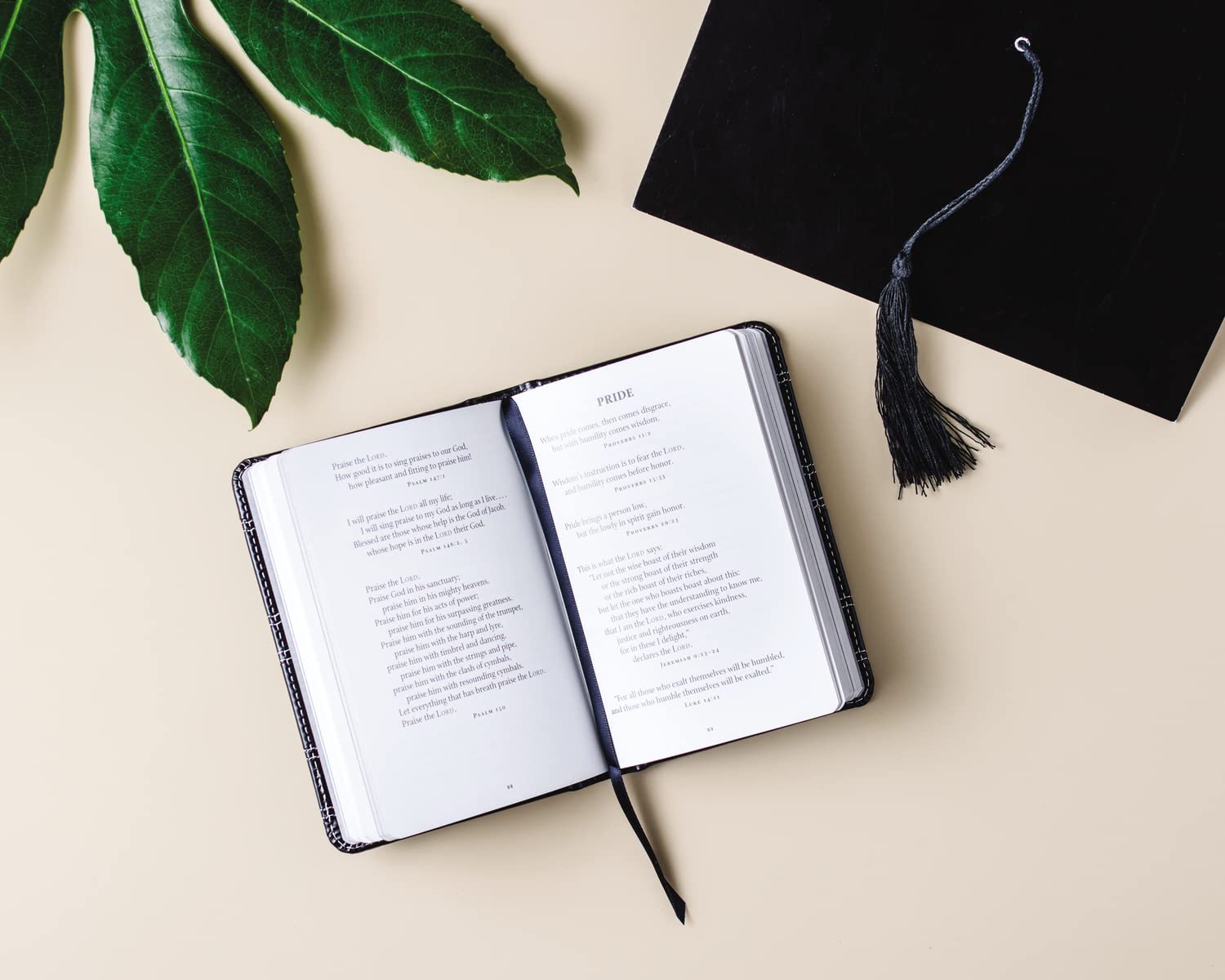 God's Promises for Graduates: Class of 2022  Black NIV: New International Version,Used
