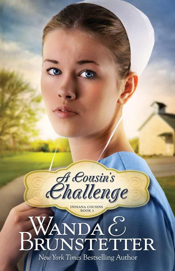 A Cousin'S Challenge (Volume 3) (Indiana Cousins),Used