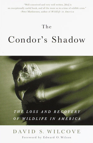 The Condor's Shadow: The Loss and Recovery of Wildlife in America,Used