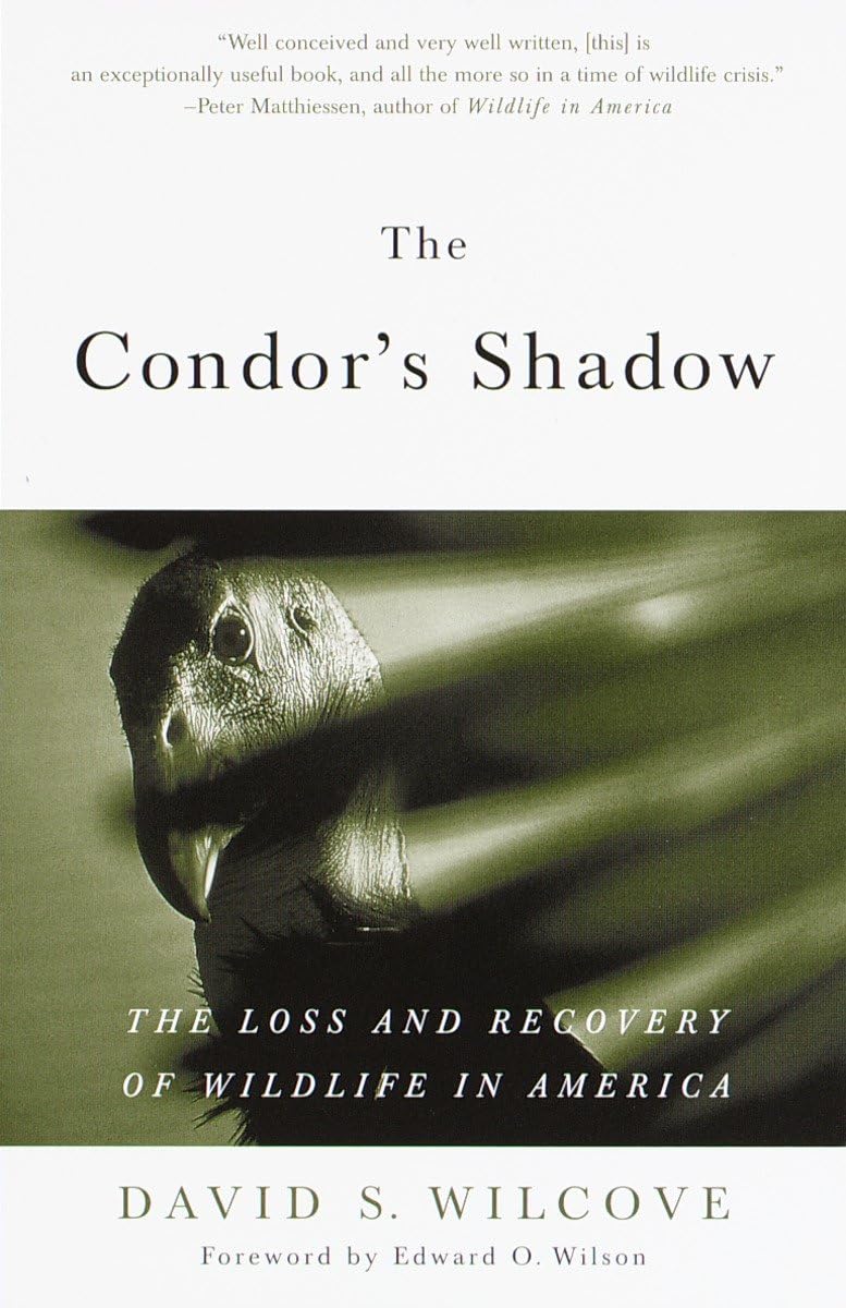The Condor's Shadow: The Loss and Recovery of Wildlife in America,Used