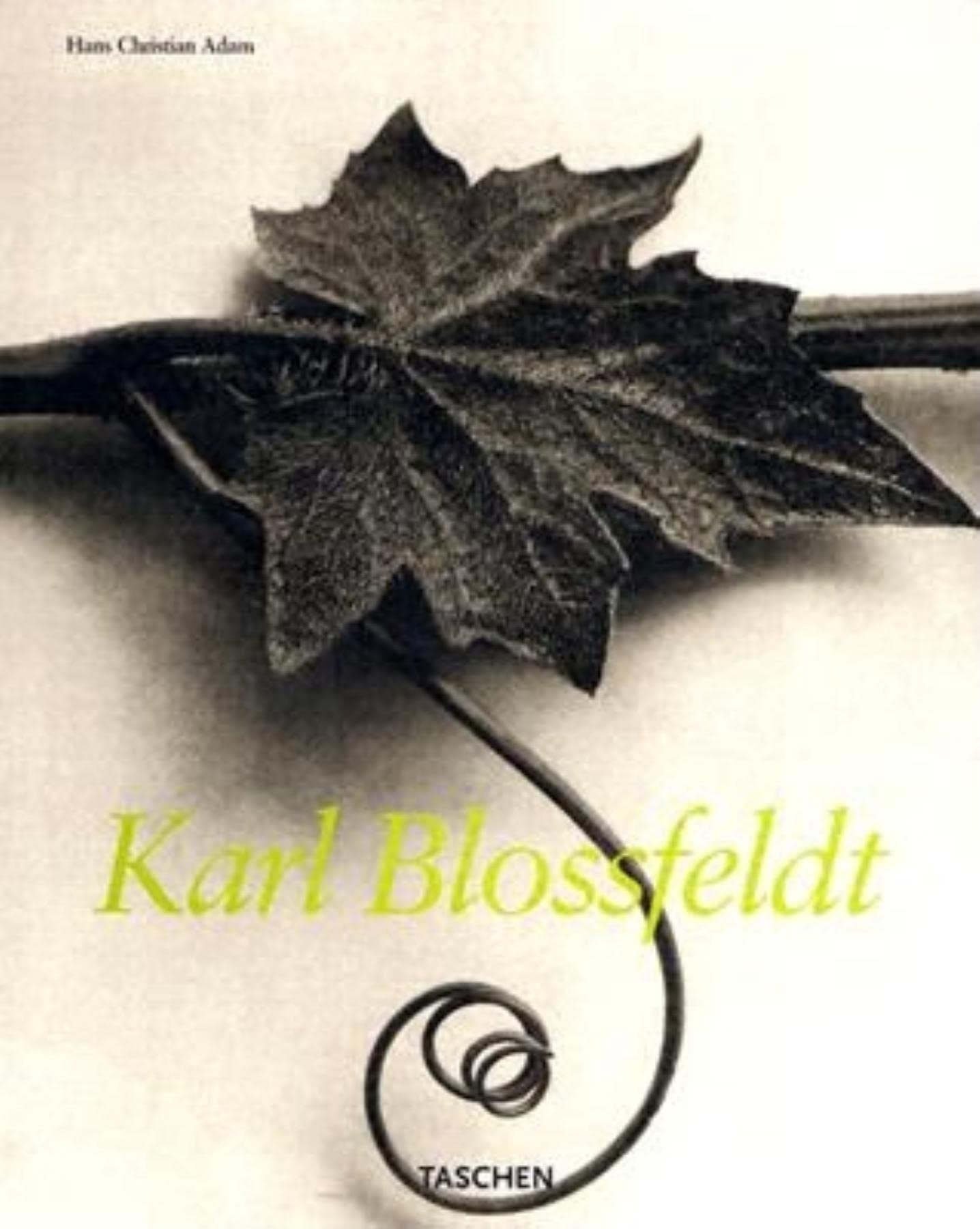 Karl Blossfeldt,Used