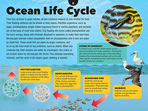 3D Explorer: Oceans,Used