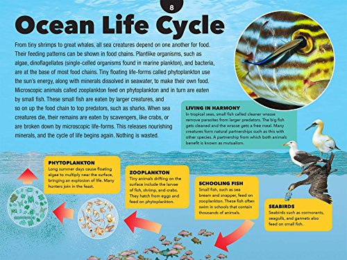 3D Explorer: Oceans,Used