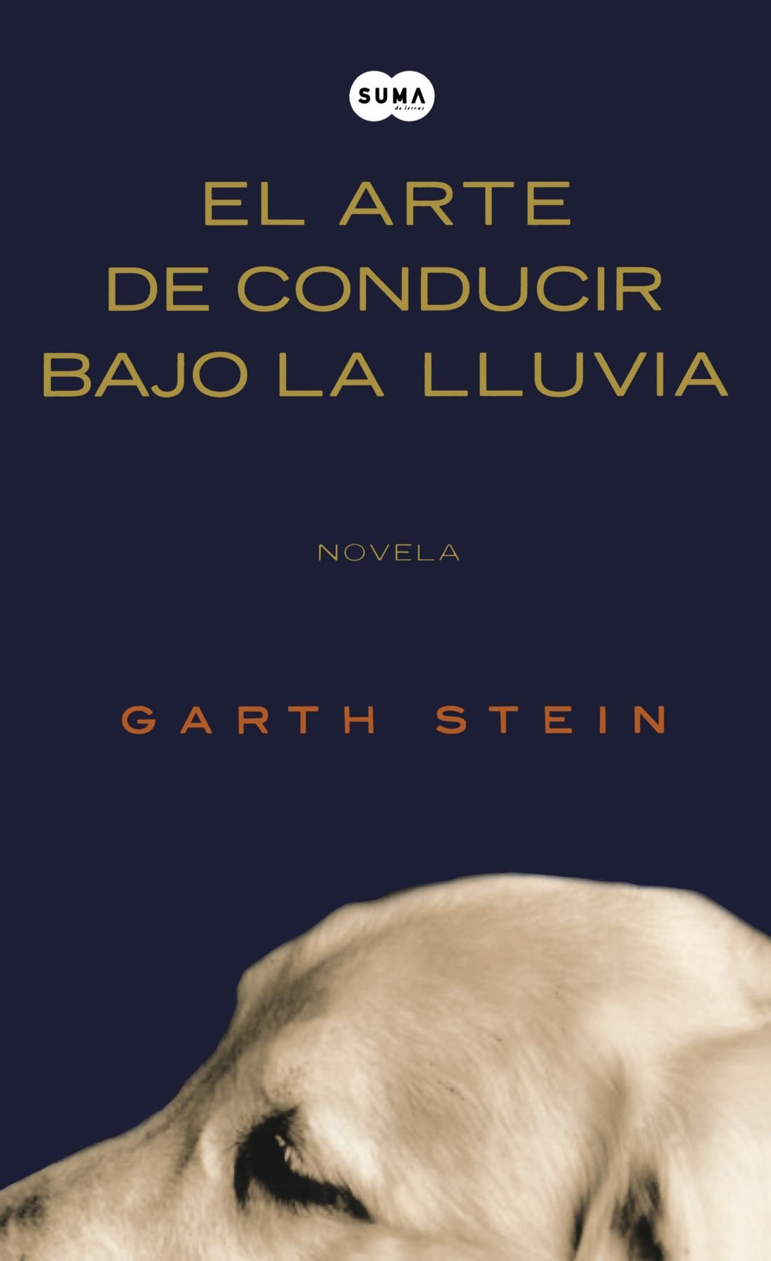 El arte de conducir bajo la lluvia,Used