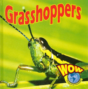 Grasshoppers (World of Wonder),Used