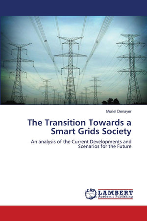 The Transition Towards a Smart Grids Society: An analysis of the Current Developments and Scenarios for the Future,Used