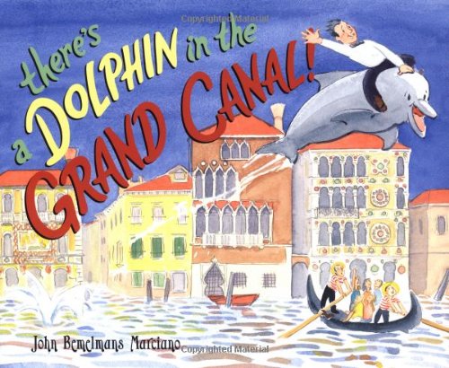 There's a Dolphin in the Grand Canal,Used