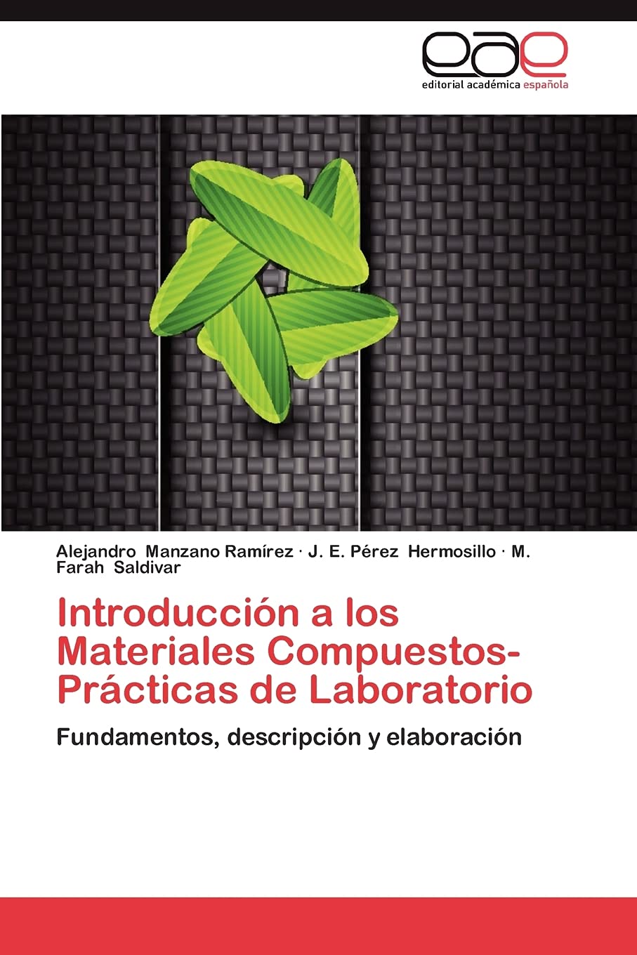 Introduccin a los Materiales CompuestosPrcticas de Laboratorio: Fundamentos, descripcin y elaboracin (Spanish Edition),Used