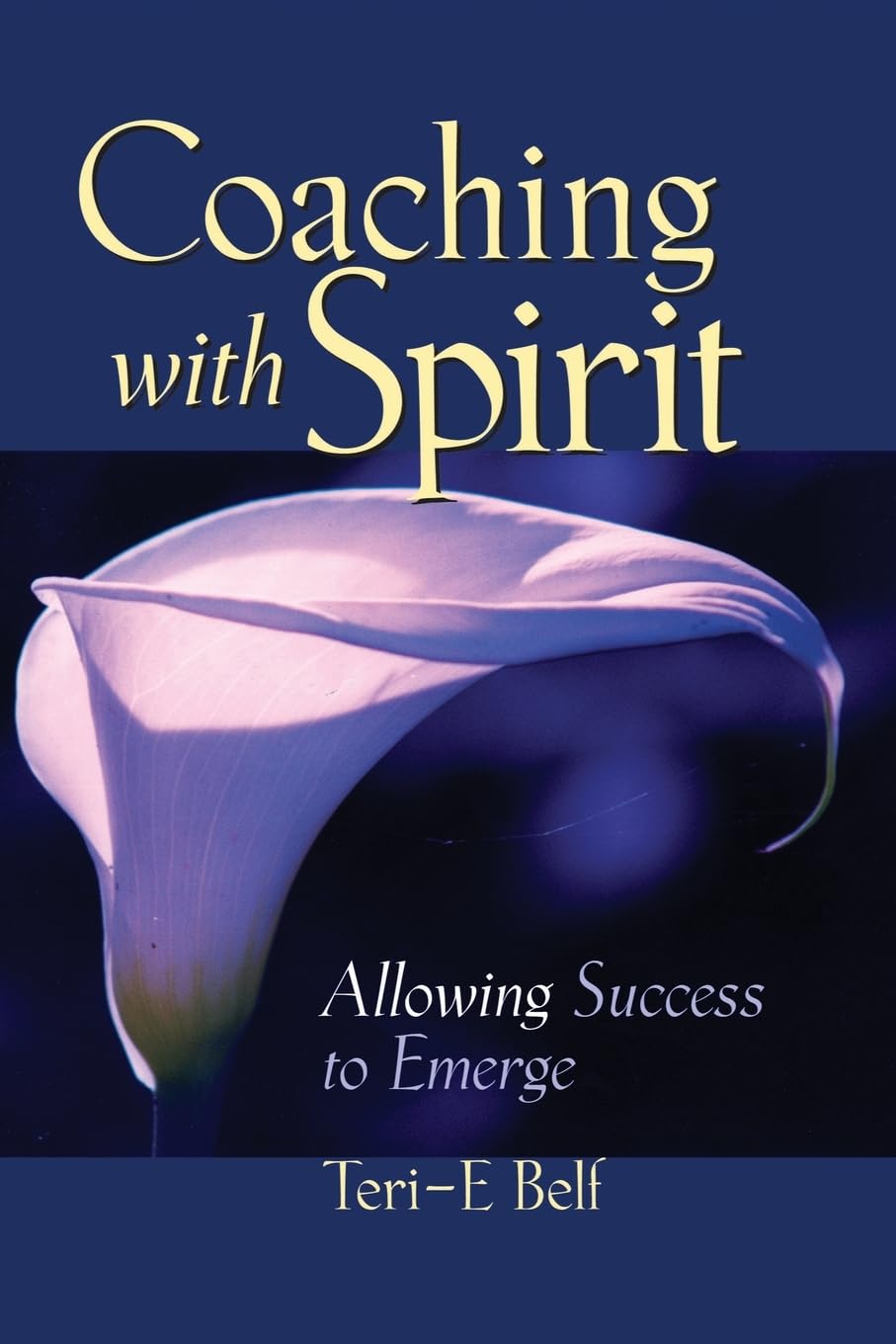 Coaching with Spirit,Used