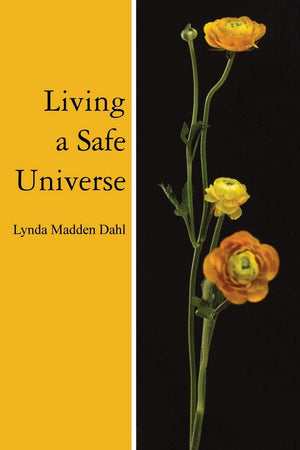 Living A Safe Universe: A Book For Seth Readers,Used