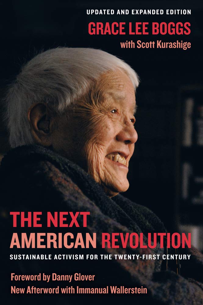 Next American Revolution: Sustainable Activism For The Twentyfirst Century