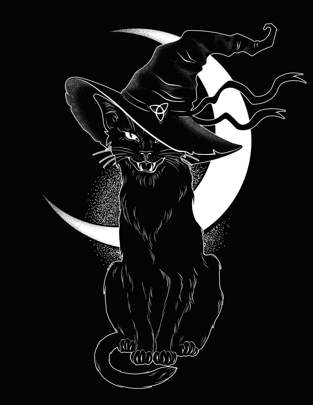Notebook: Black & White Cat Notebook with Glossy CoverWideRuled 110 Pages Perfect gift for Halloween, Cat Lovers, Students,Used