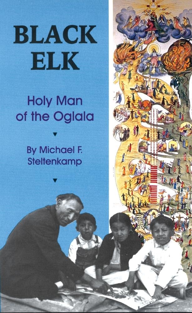 Black Elk: Holy Man Of The Oglala,Used