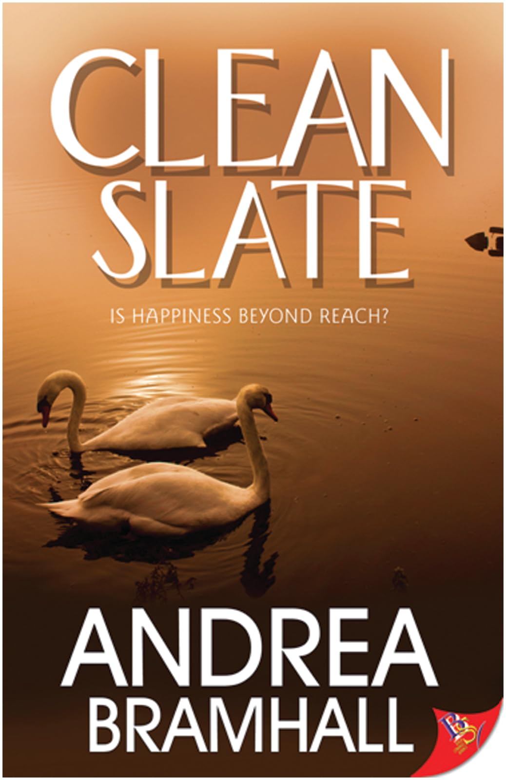 Clean Slate,Used