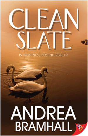 Clean Slate,Used