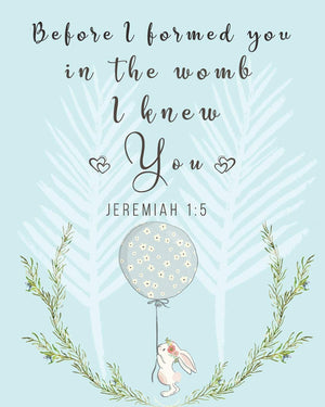 Before I formed you in the womb I knew you Jeremiah 1:5: Christian Pregnancy Journal For The Expecting MomToBe, Prompts Works,Used