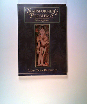 Transforming Problems into Happiness,Used