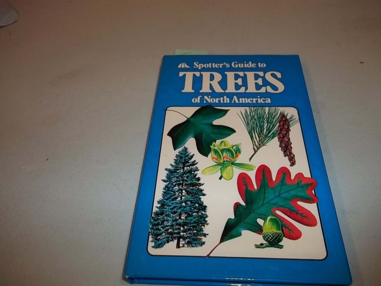 Spotters Guide to Trees of North America
