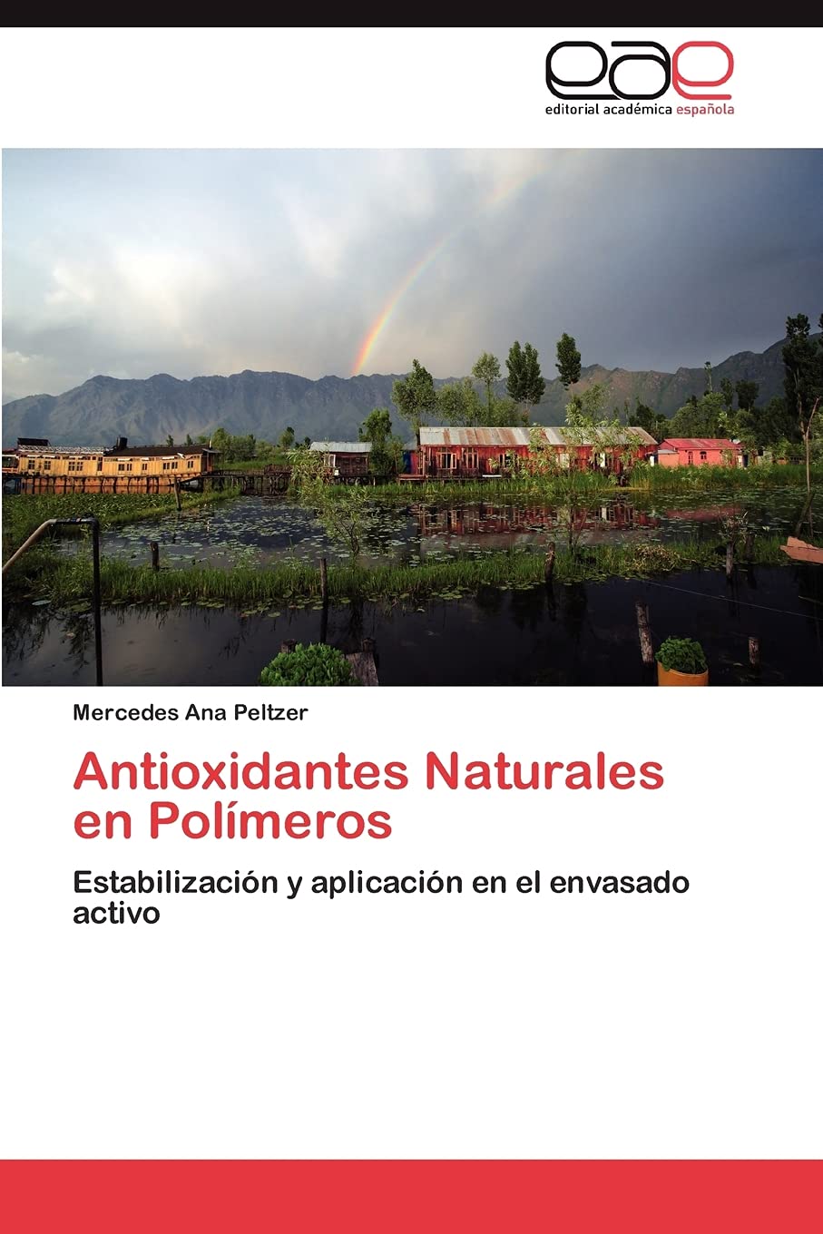 Antioxidantes Naturales en Polmeros: Estabilizacin y aplicacin en el envasado activo (Spanish Edition),Used