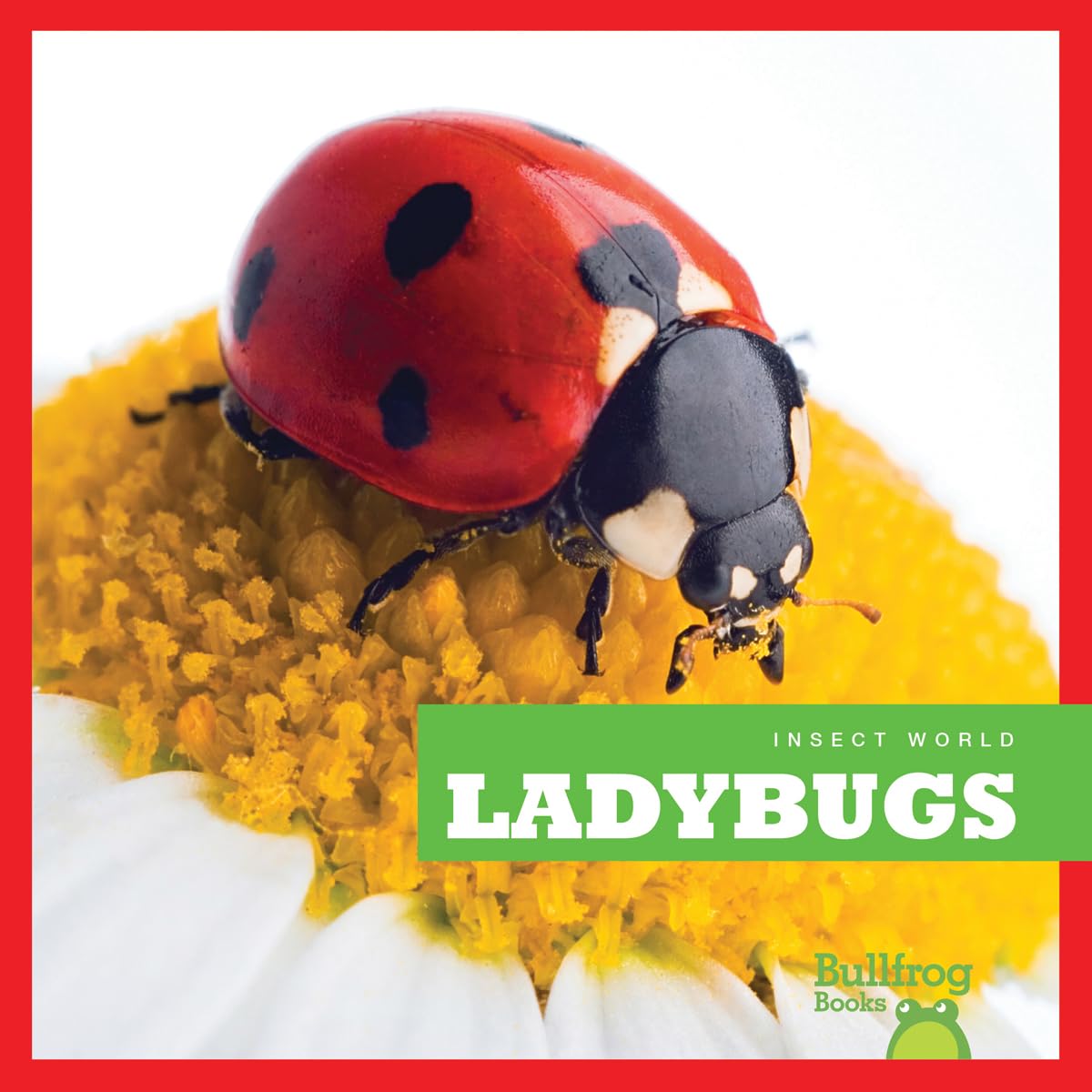 Ladybugs (Bullfrog Books: Insect World),Used
