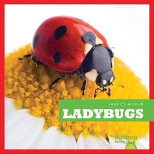 Ladybugs (Bullfrog Books: Insect World),Used